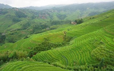 Descubriendo los arrozales de Guilin, en Longsheng