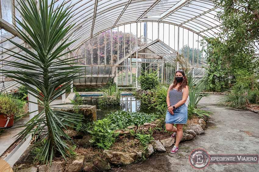 Plantas del invernadero del Pazo de Lourizán