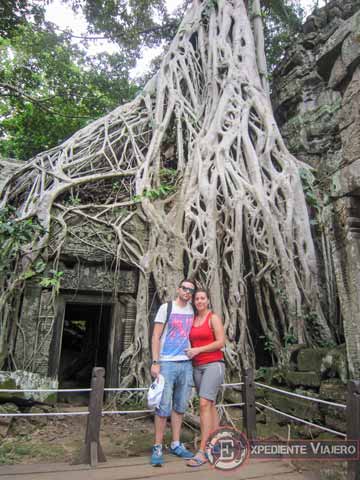 Templos de Angkor: raíces del templo de Ta Prohm
