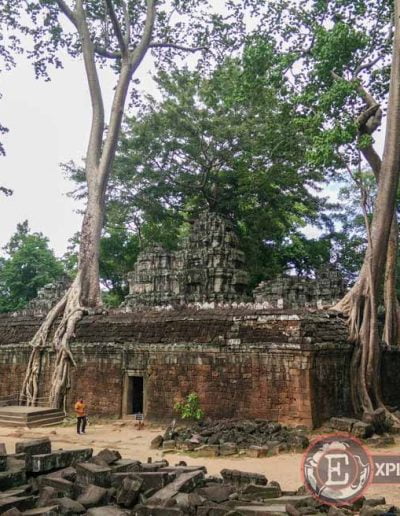 Templos de Angkor: fotos del templo de Ta Prohm