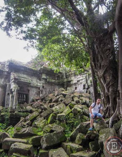 Foto de los árboles en el templo de Beng Mealea en Angkor