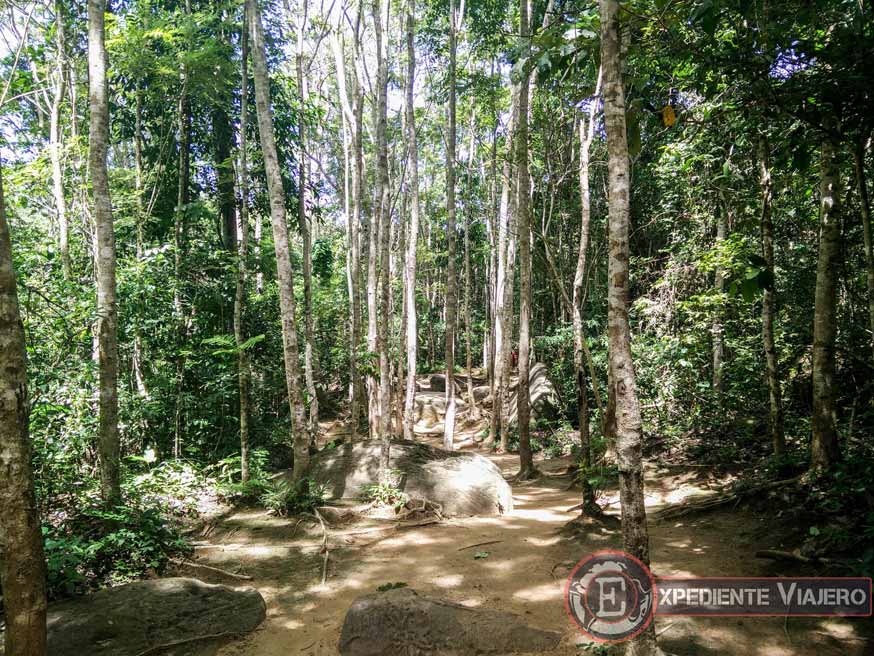 Templos de Angkor: ruta por la jungla para llegar a Kbal Spean