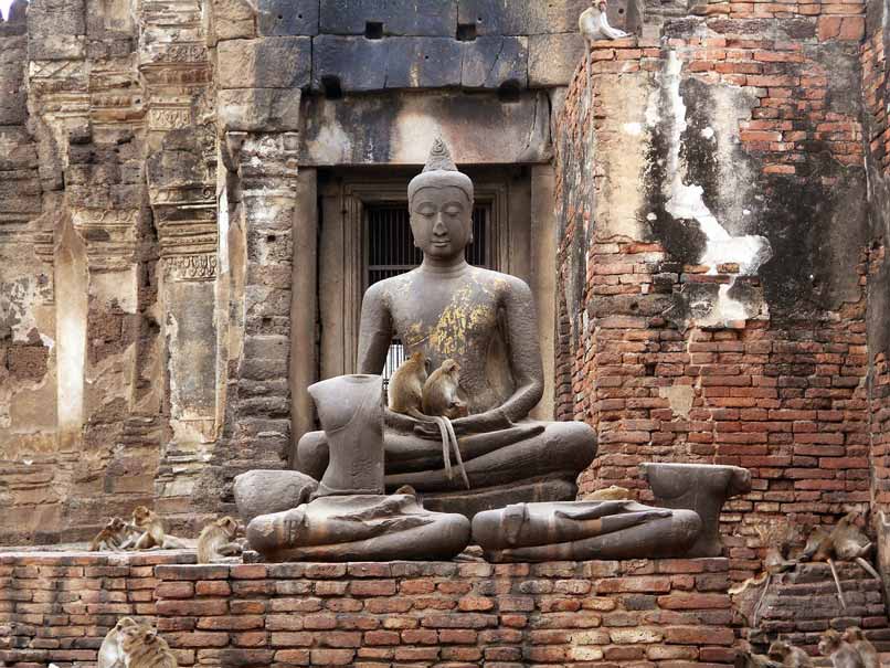 Ayutthaya en un día: el templo de los monos de Lopburi