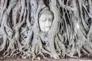 Ayutthaya en un día: GUÍA TOTAL (y al grano)