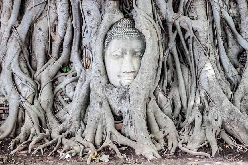 Qué ver en Ayutthaya en un día: cabeza de Buda de Wat Mahathat