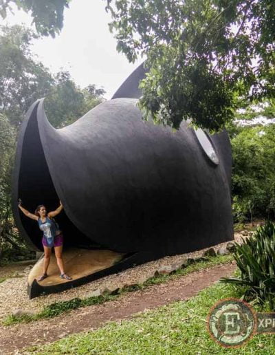 Chiang Rai en un día: edificio de una ballena en la Casa Negra