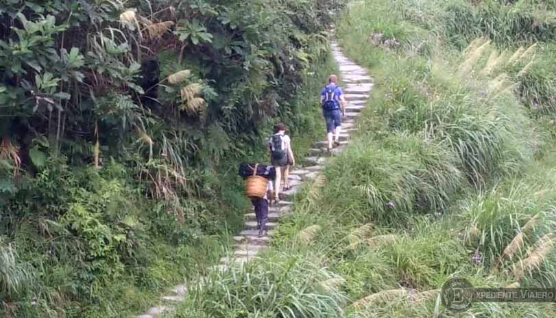 Porteador en los arrozales de Guilin