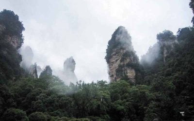 Guía completa del Parque Nacional de Zhangjiajie