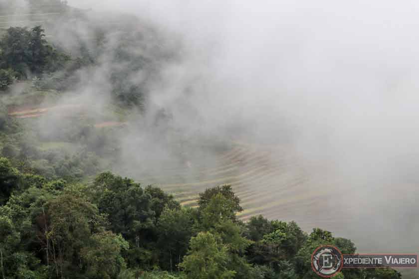 Niebla y arrozales camino a Ban Gioc
