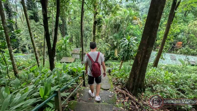 Sri Lanka: paisajes durante el camino de bajada a Laxapana