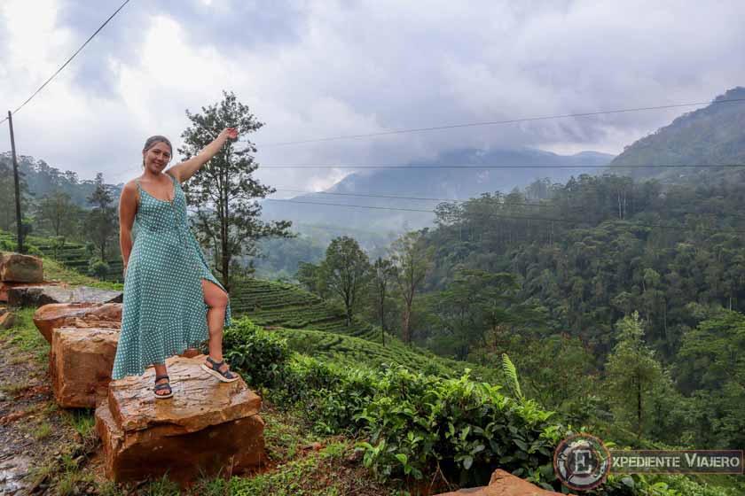 Plantaciones de té de Sri Lanka, paisajes alucinantes