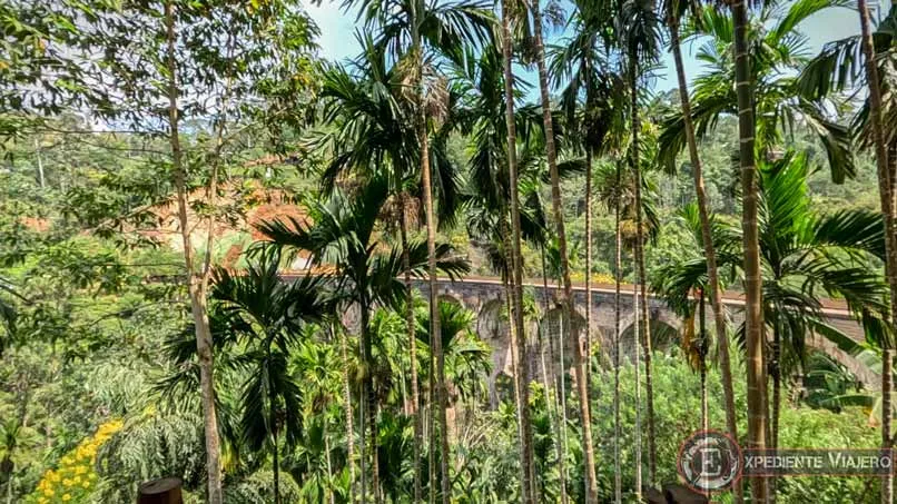 Vistas desde una cafetería en el Nine Arch Bridge, algo que ver en Ella (Sri Lanka)