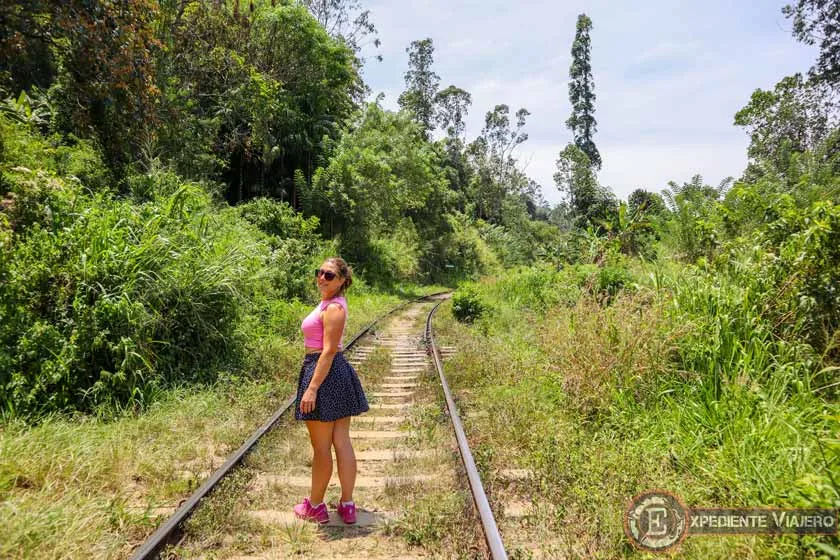 Vías del tren y vegetación, algo que ver en Ella (Sri Lanka)