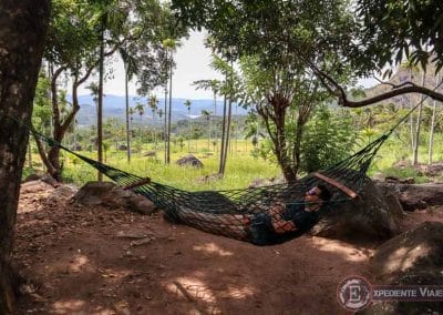 Hamaca del hotel y palmeras de fondo en Haputale (Sri Lanka)