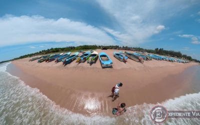 🥇 MEJOR época para viajar a Sri Lanka: ¡la isla de los MONZONES!